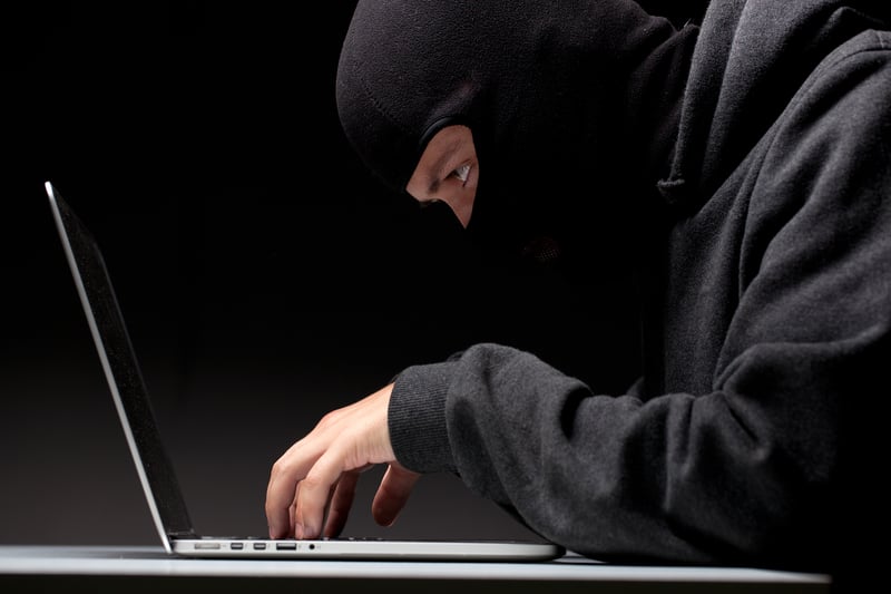 Ninjas have great computer hacking skills in the digital world