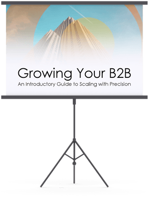 An Introductory Guide to Growing Your B2B