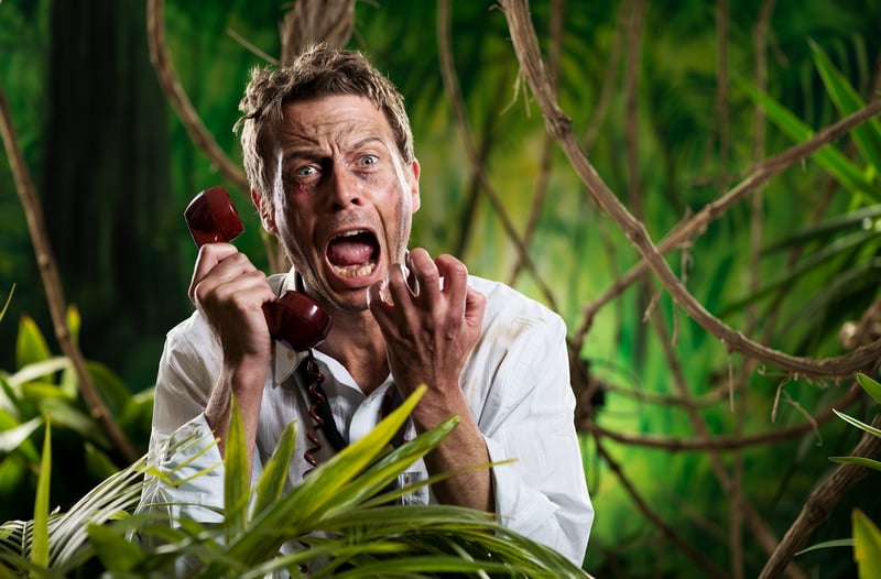 Don't get lost in the jungle! Cold calling scripts are just the symptoms of a much bigger marketing strategy flaw