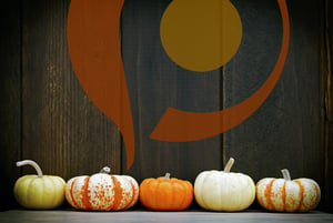 Orange Pegs logo over wood background behind a row of different types of winter squashes