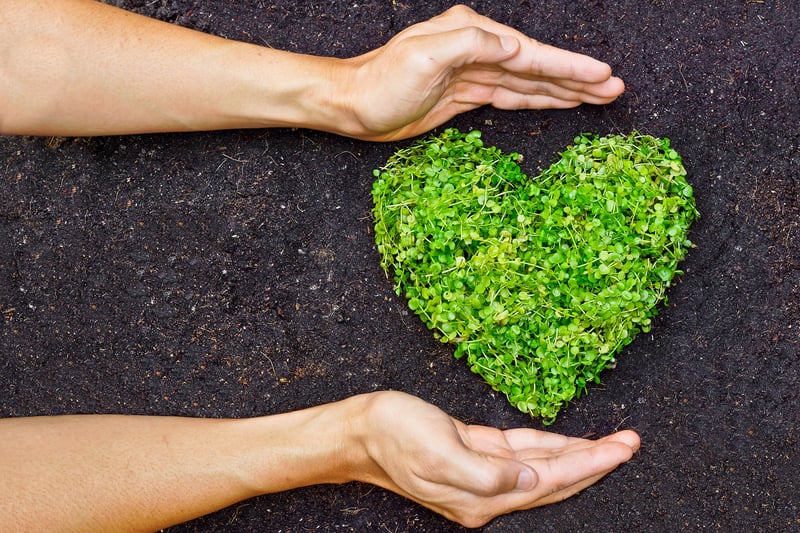 bigstock-love-nature-75957785 bigstock-love-nature-75957785